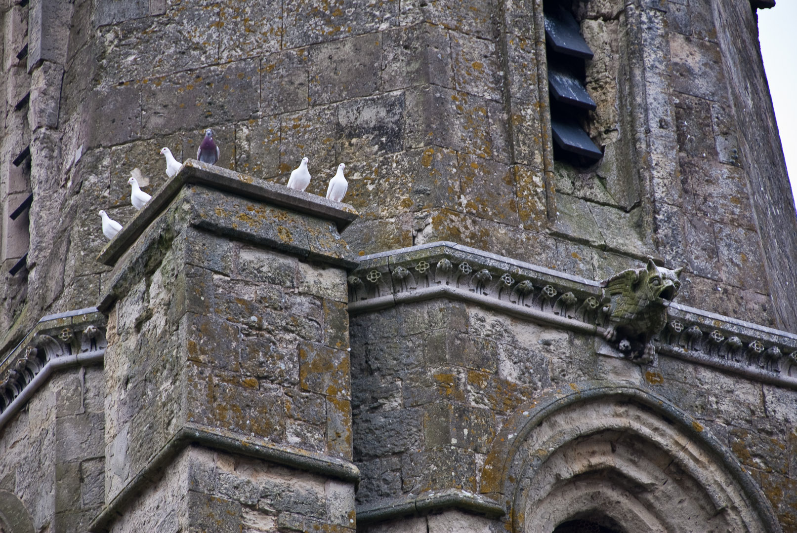 JDS100505England2010_00049.jpg